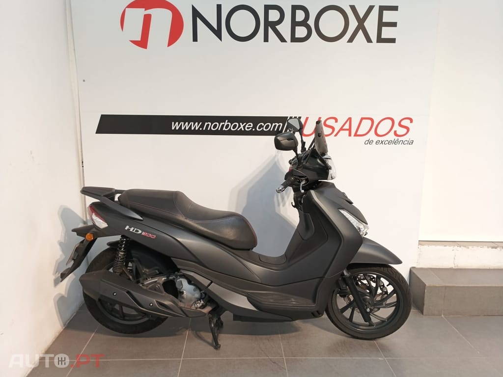 Sym HD 300