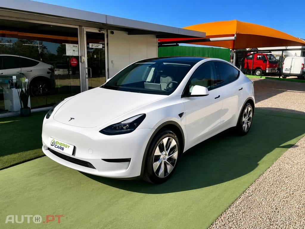 Tesla Model Y Standard