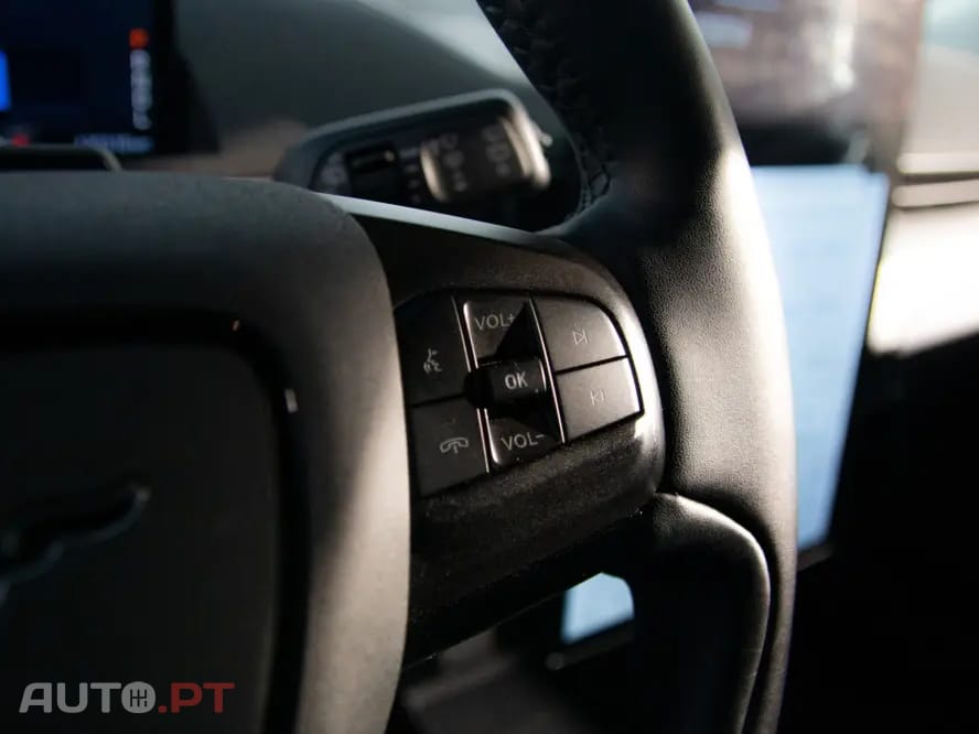 Ford Mustang Mach-E Standard