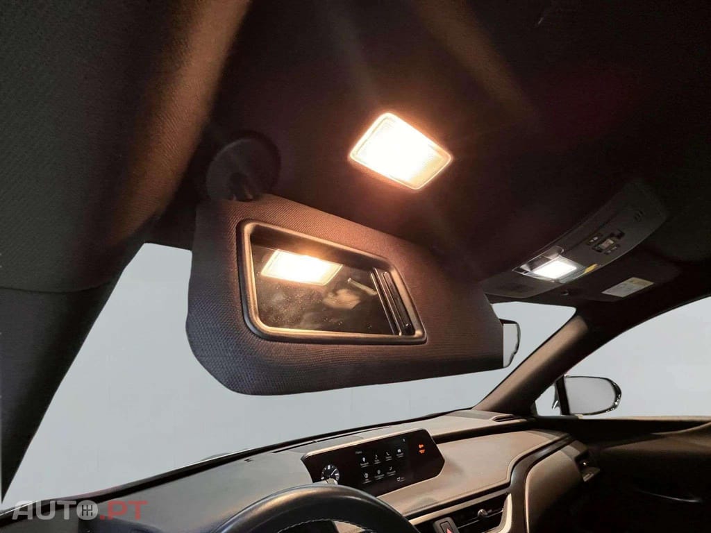 Lexus UX Business
