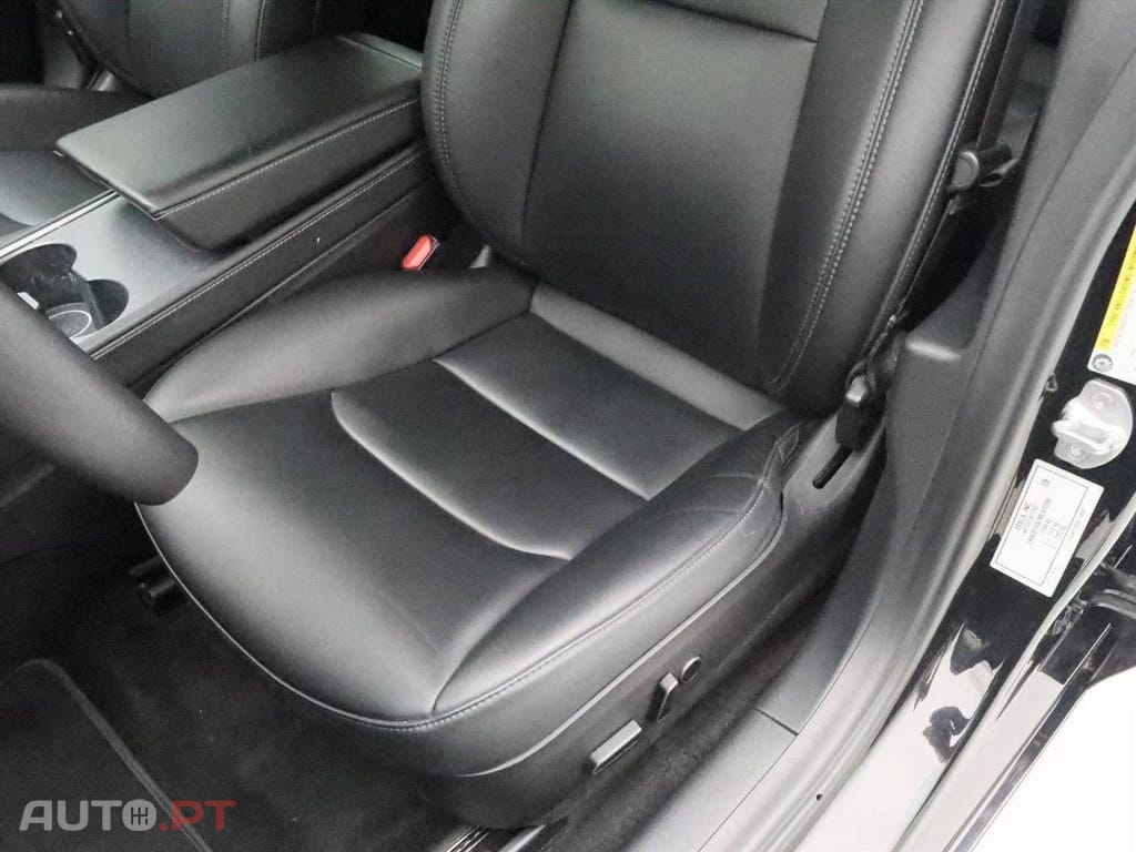 Tesla Model 3 Standard RWD Plus