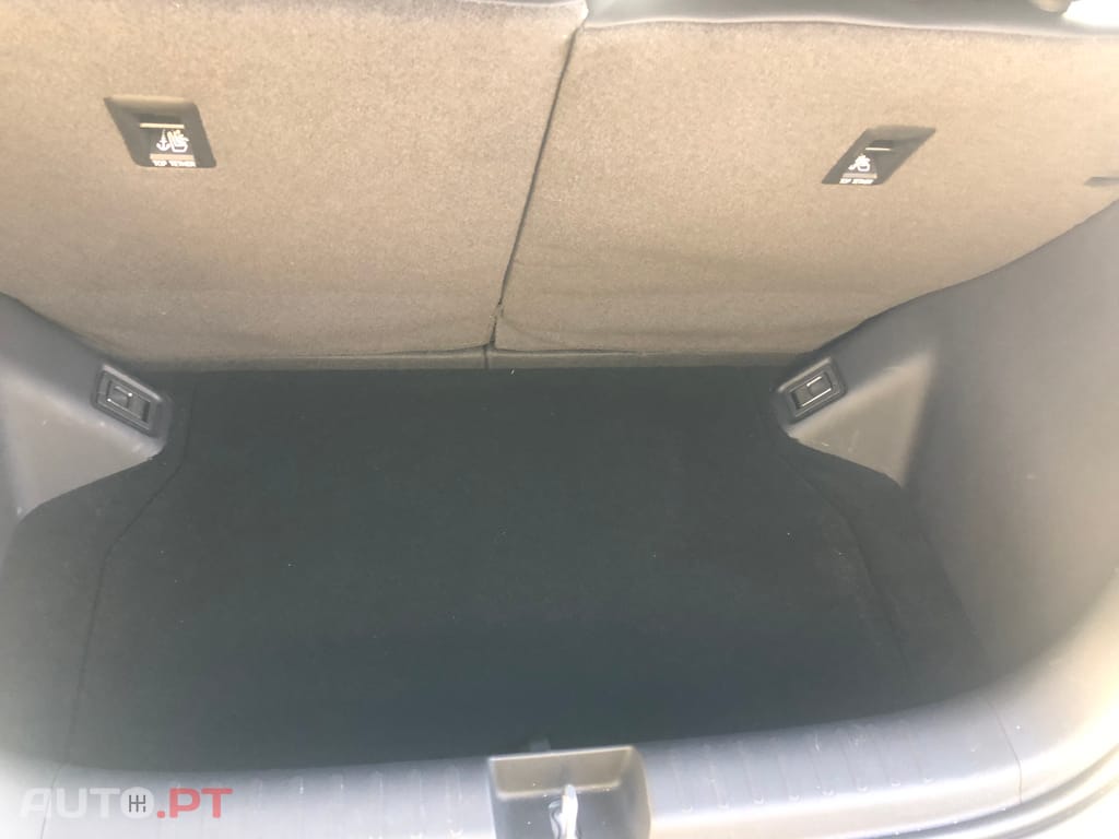 BYD Dolphin Surf Boost