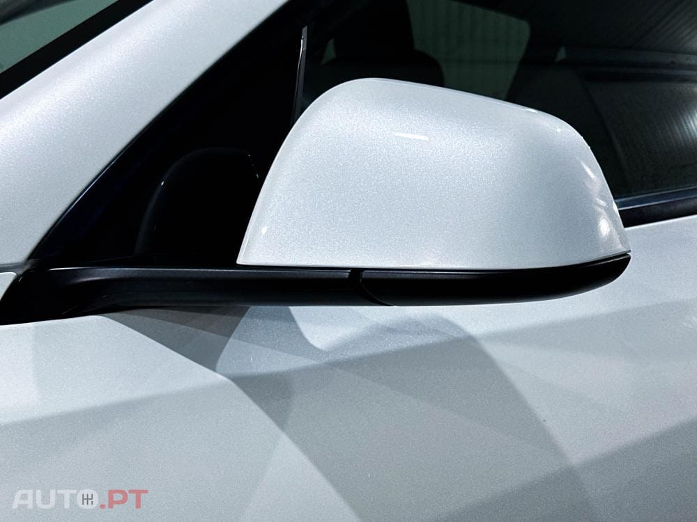 Tesla Model Y Standard