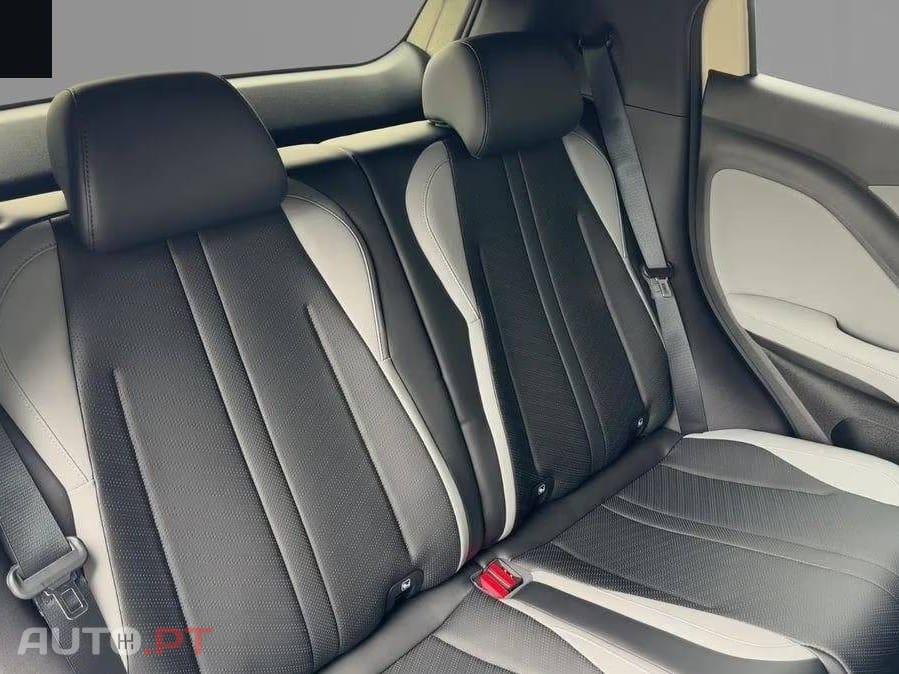 BYD Dolphin Surf Active
