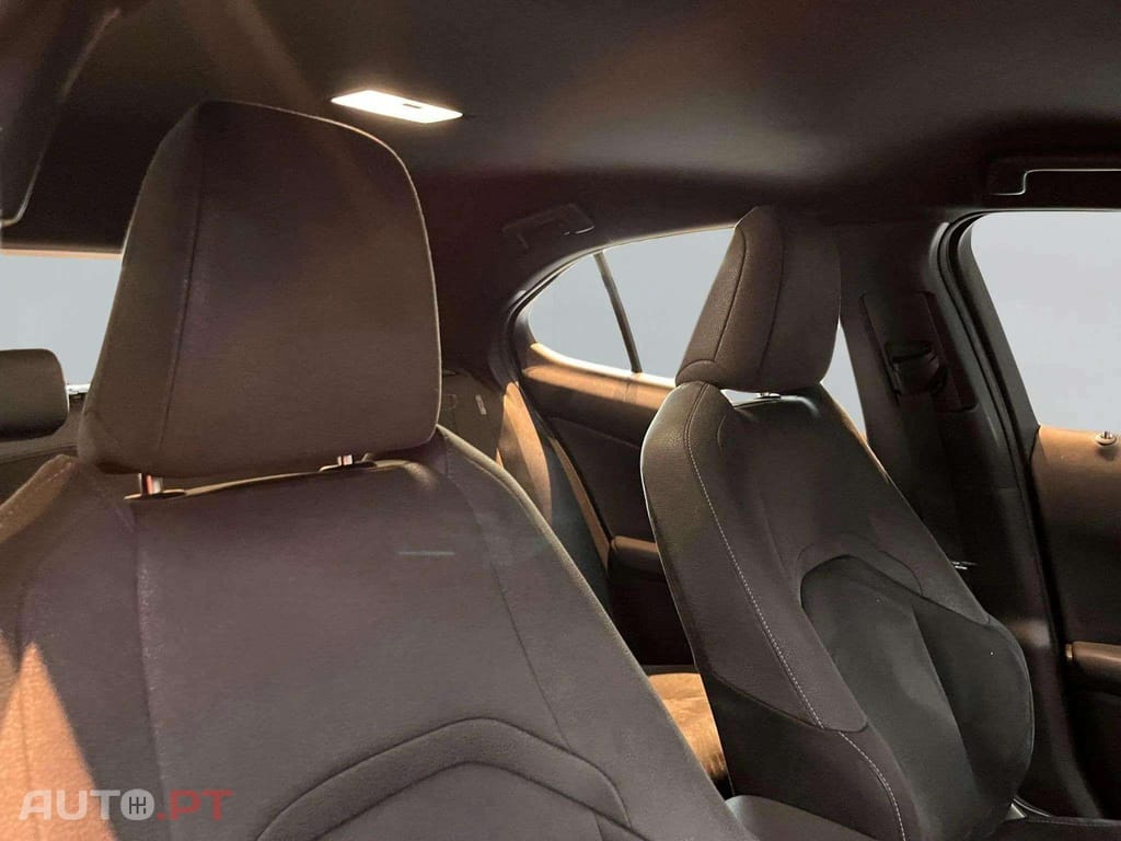 Lexus UX Business