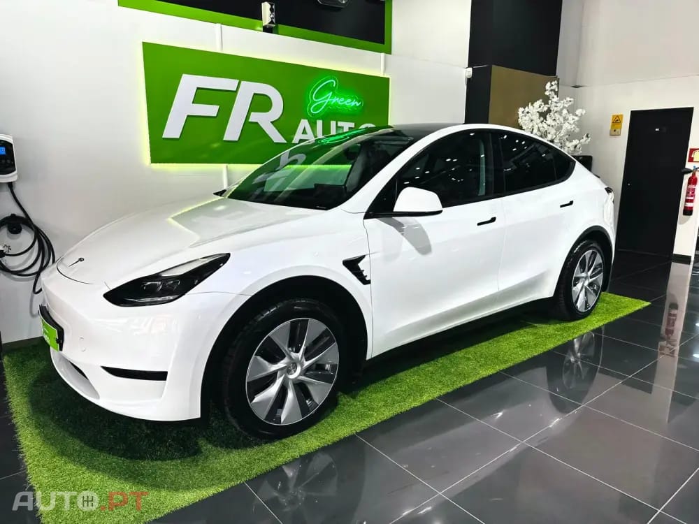Tesla Model Y Standard