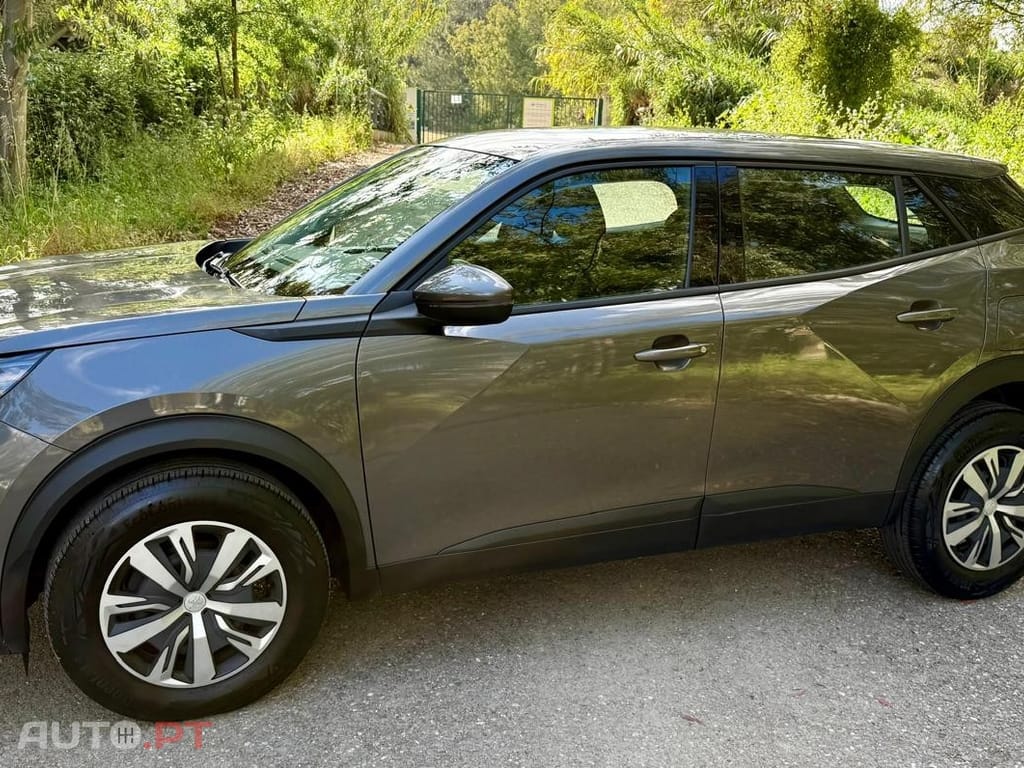 Peugeot 2008 PureTech 100 Active