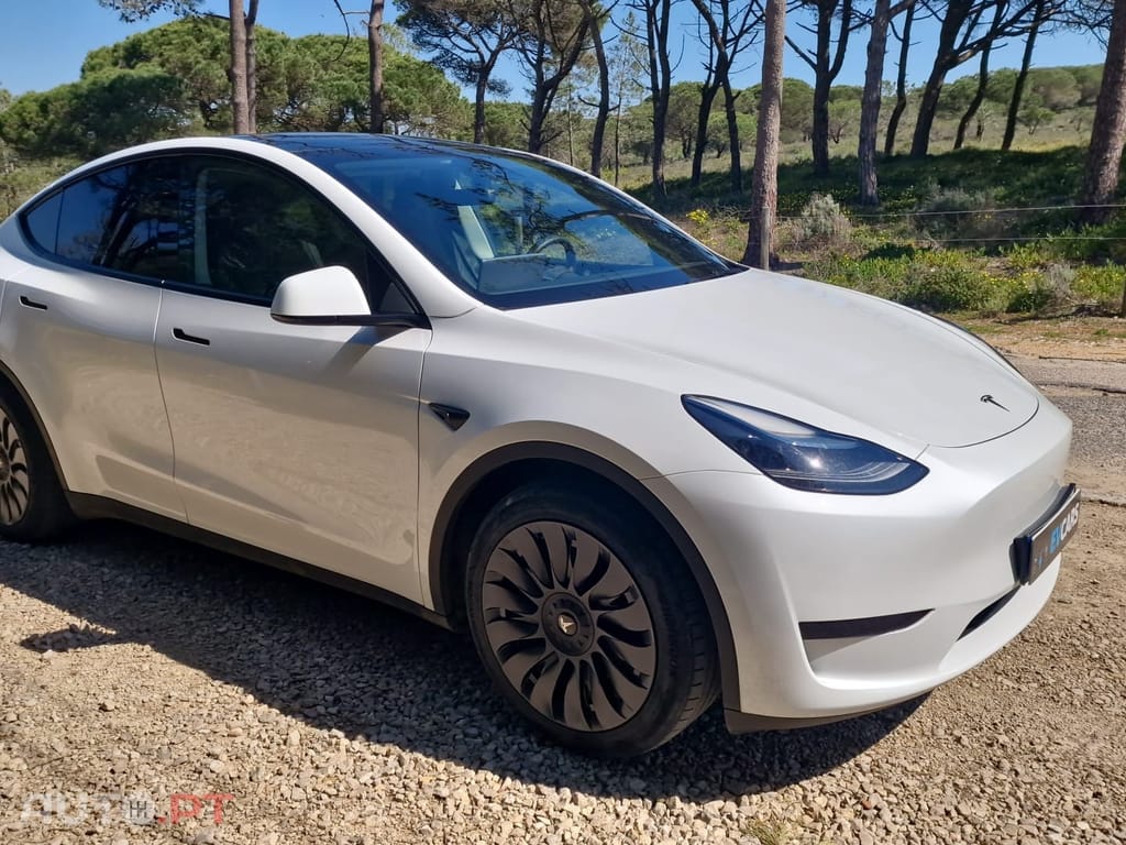 Tesla Model Y RWD