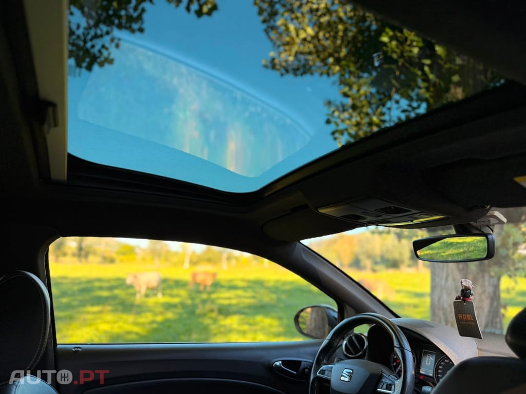 Seat Ibiza 1.8 TSI Cupra