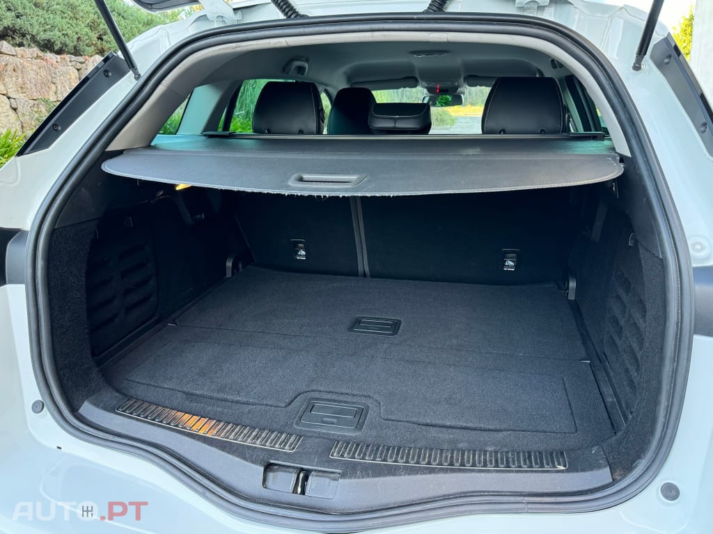 Renault Mégane Sport Tourer BLUE dCi 115 INTENS