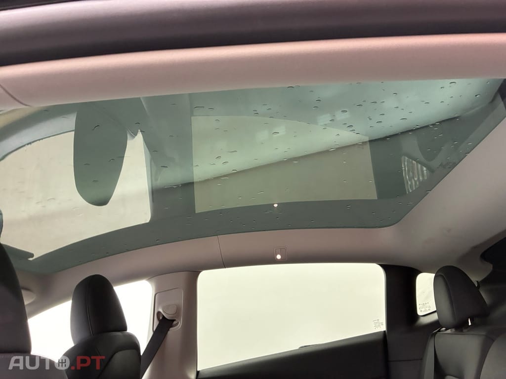 Tesla Model Y Standard RWD