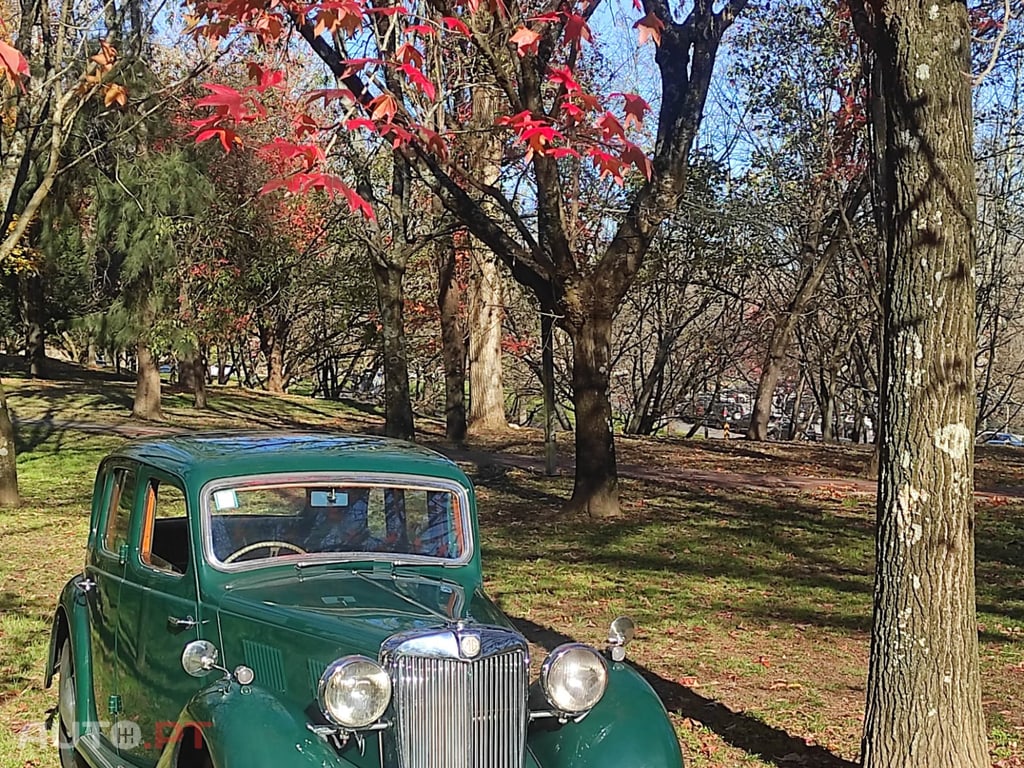 MG MG6 Magnette Y (A)