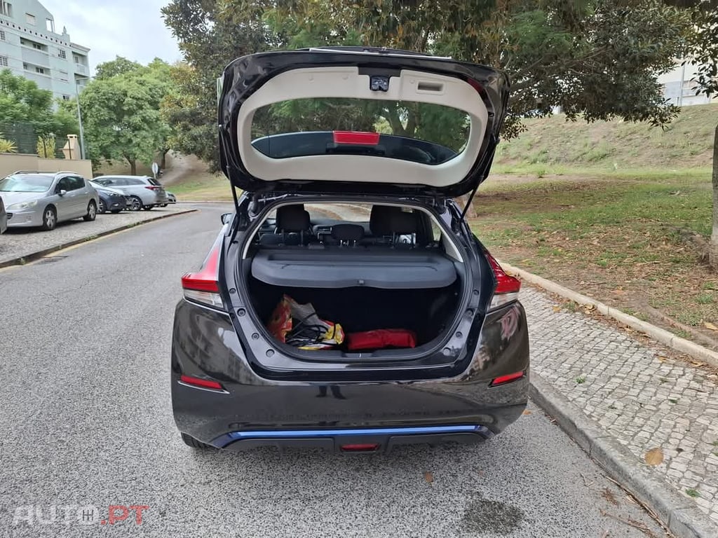 Nissan Leaf Acenta Access