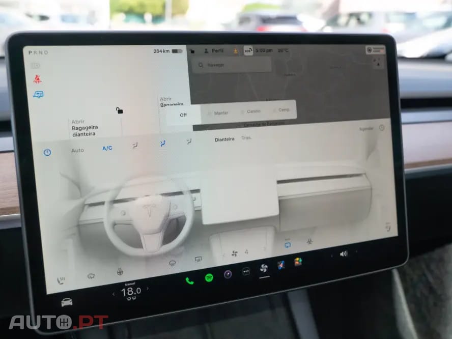 Tesla Model Y Performance Dual Motor AWD
