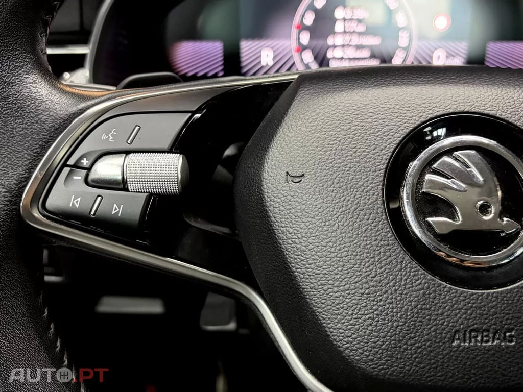 Skoda Kamiq 1.0 TSI Selection DSG