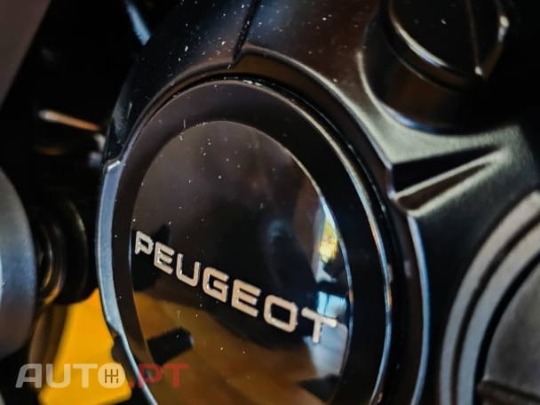 Peugeot Tweet 125 PM-01