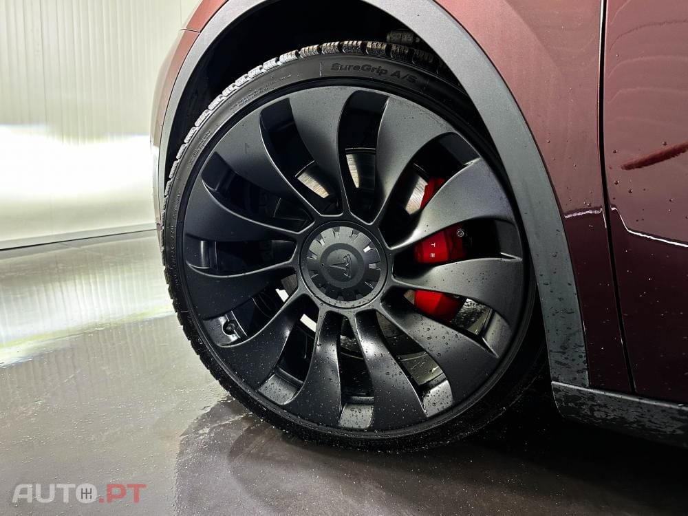 Tesla Model Y Performance Dual Motor AWD