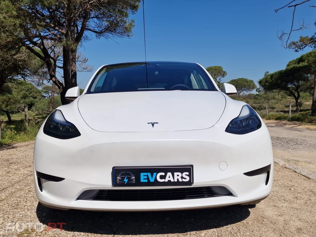 Tesla Model Y RWD
