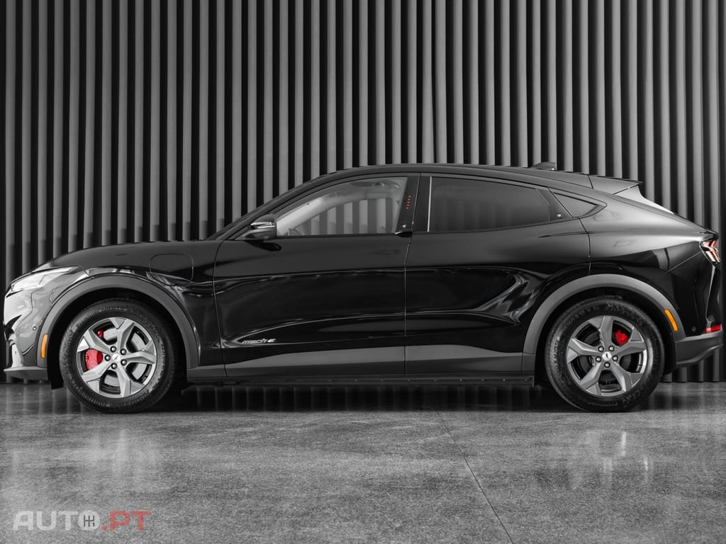 Ford Mustang Mach-E Standard