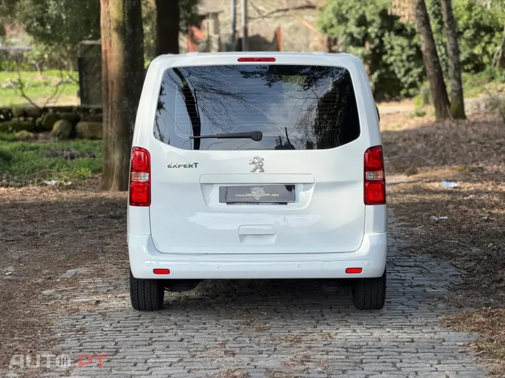 Peugeot Expert 1.5 BlueHDi L2H1 Semi-Vidrado