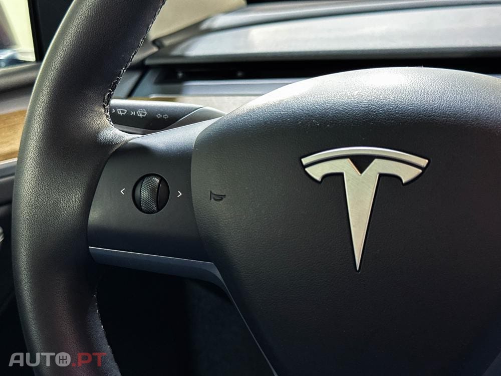 Tesla Model Y Standard