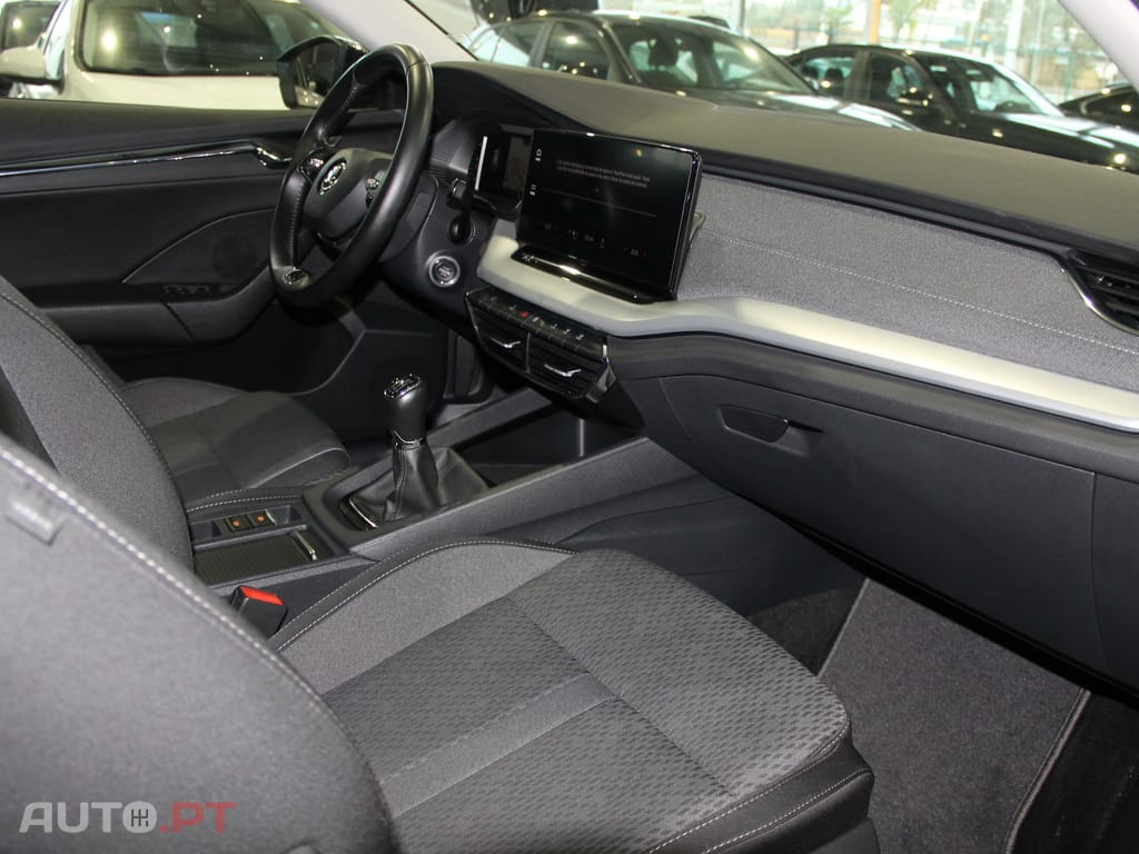 Skoda Octavia Break 2.0 TDI
