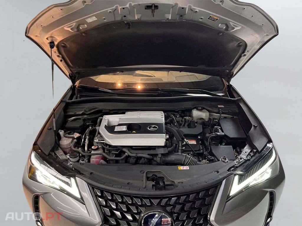 Lexus UX Business