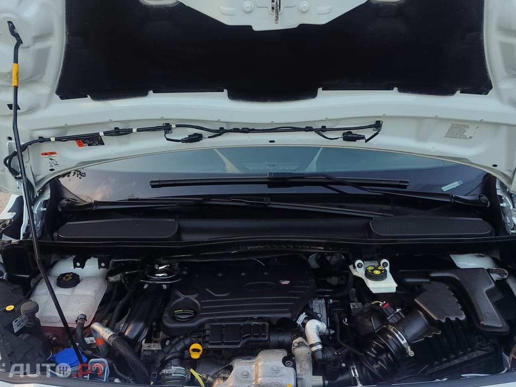 Ford Transit Connect L1