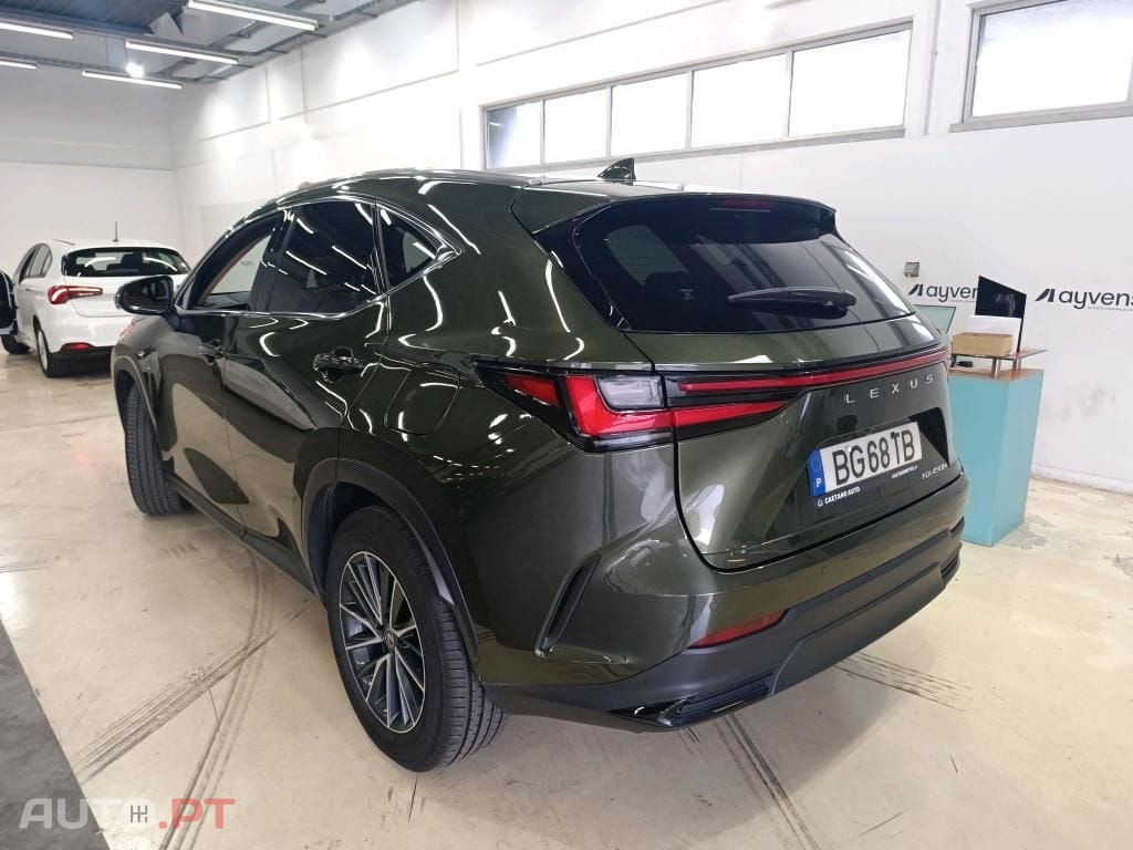 Lexus NX Executive+