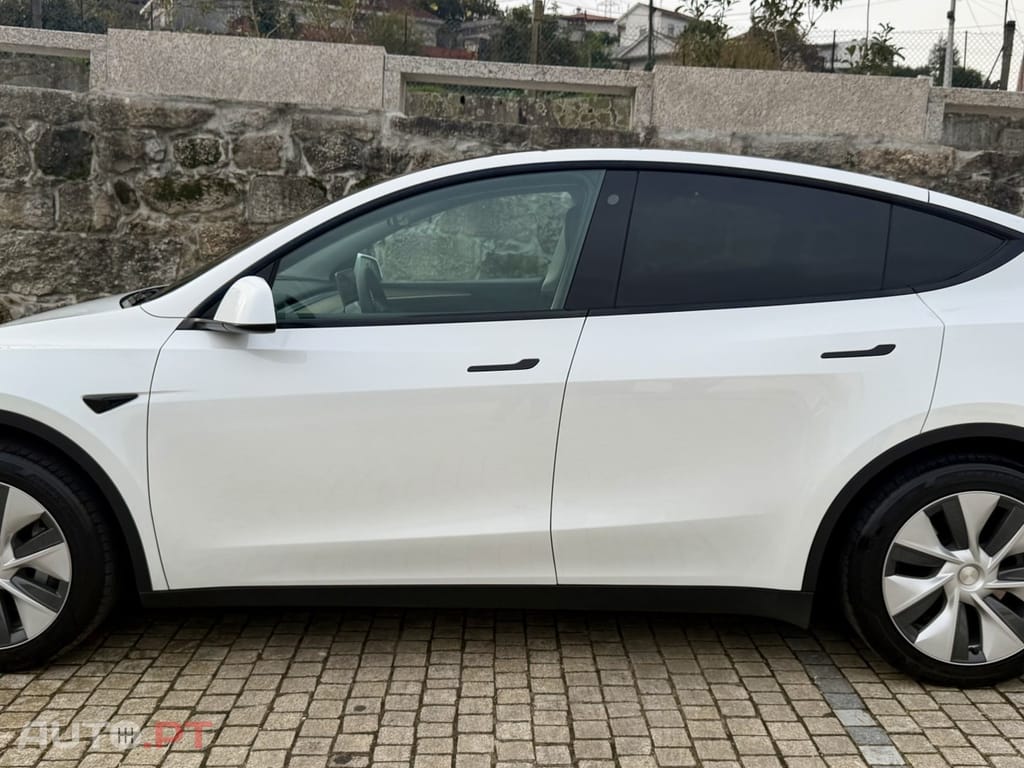 Tesla Model Y Standard