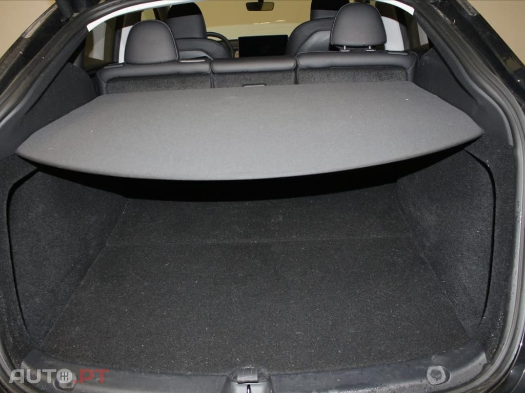 Tesla Model Y Standard
