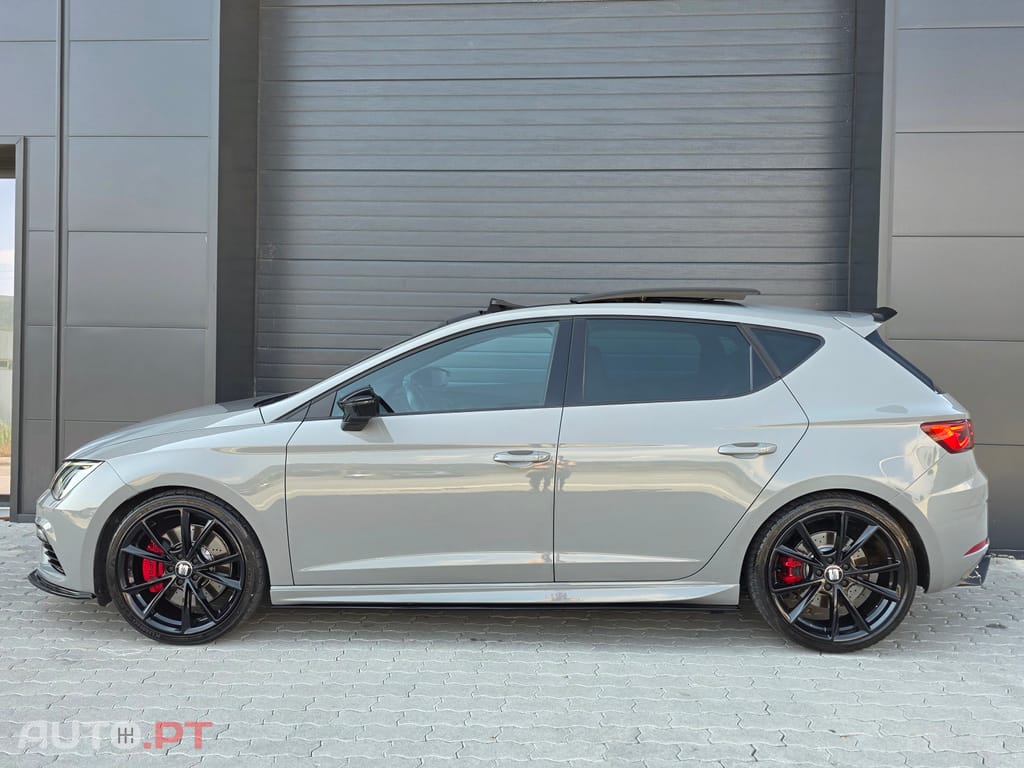Seat Leon Cupra 290