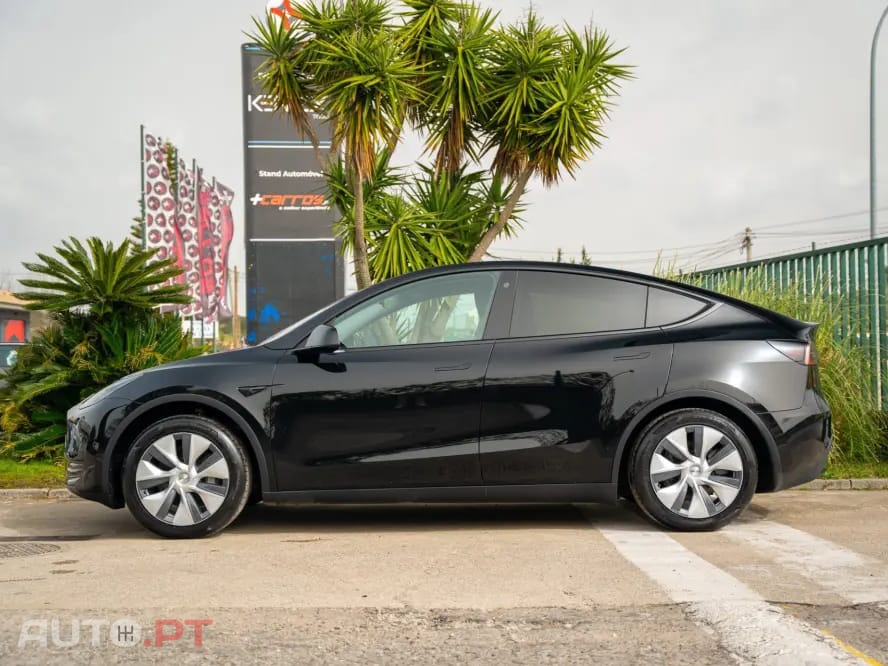 Tesla Model Y Standard