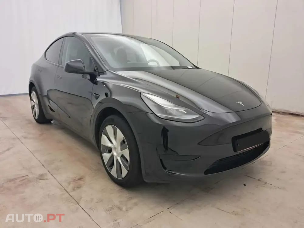 Tesla Model Y Standard
