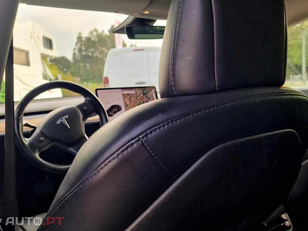 Tesla Model 3 PERFORMANCE