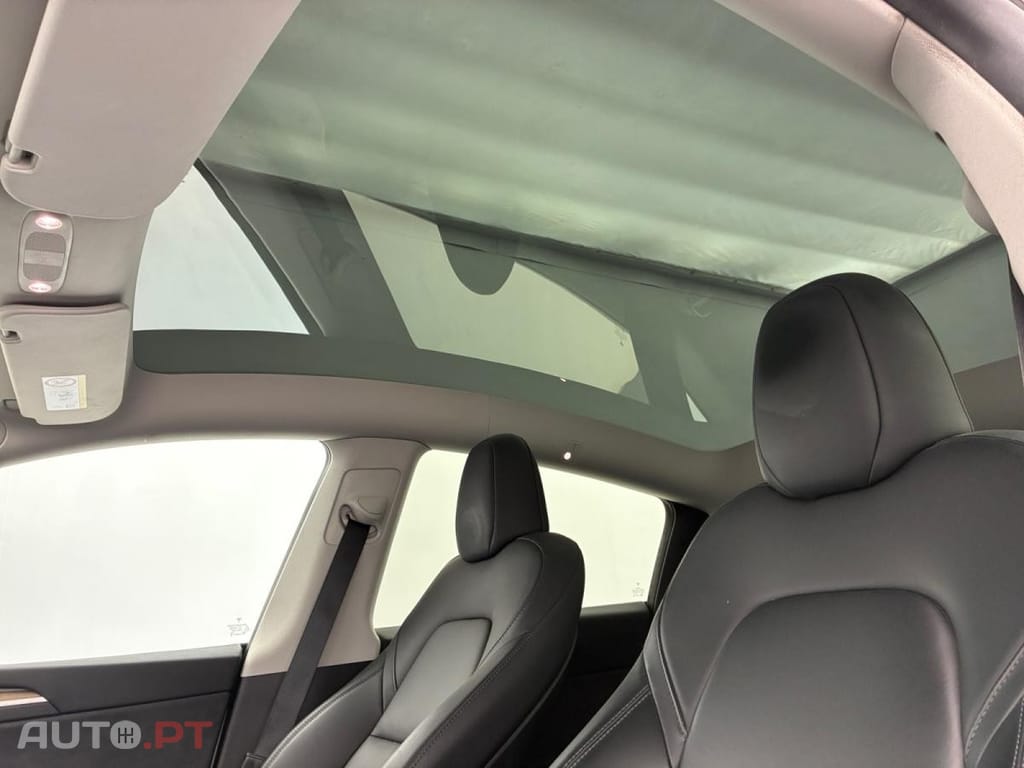 Tesla Model Y Standard RWD