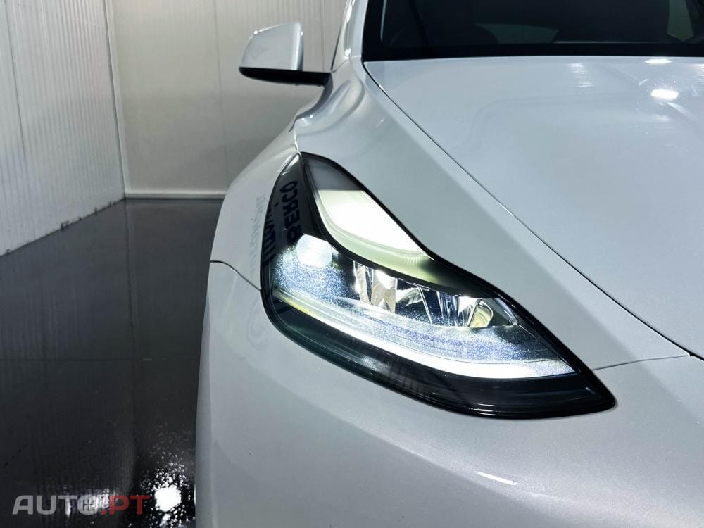 Tesla Model Y Standard