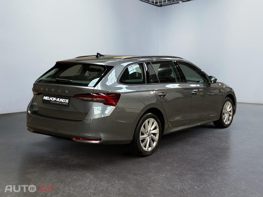 Skoda Octavia Break 2.0 TDI Selection DSG