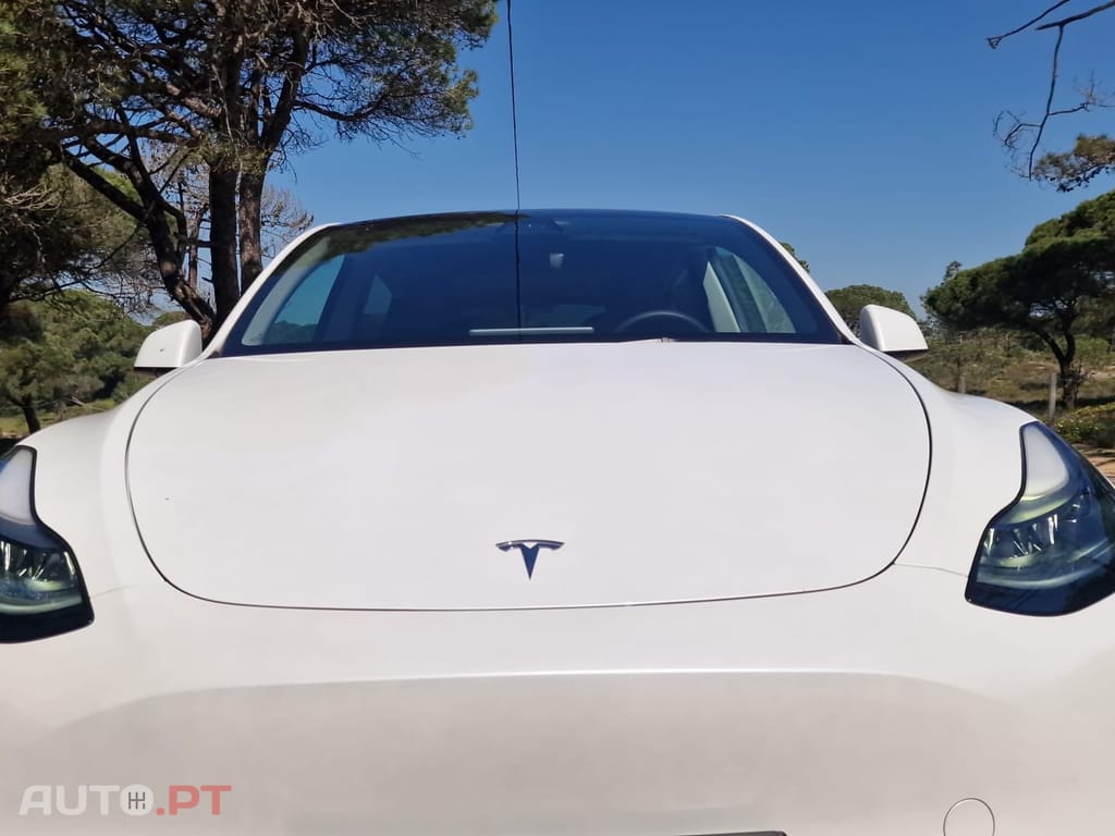 Tesla Model Y RWD