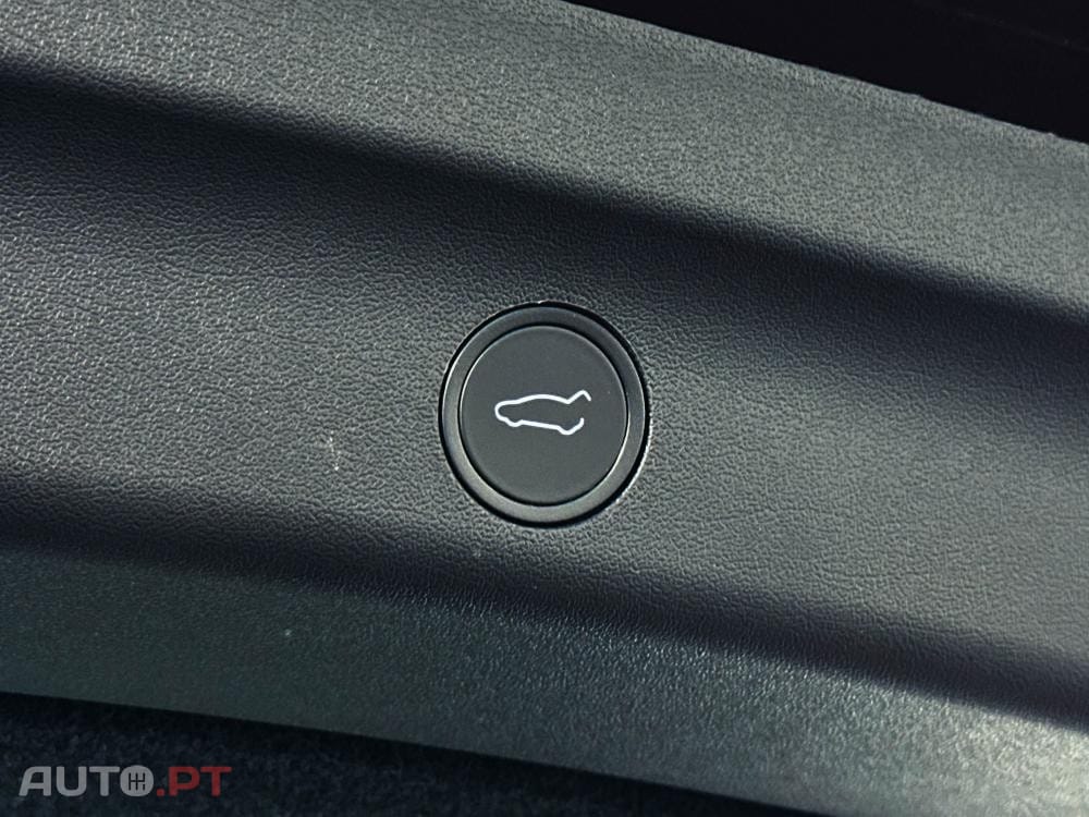 Tesla Model Y Standard