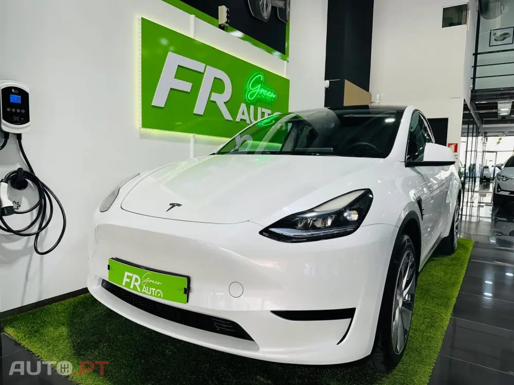 Tesla Model Y Standard
