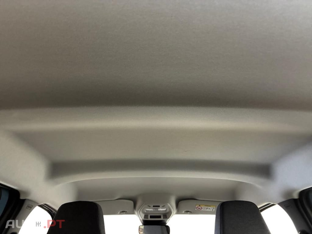 Citroen e-C3 You