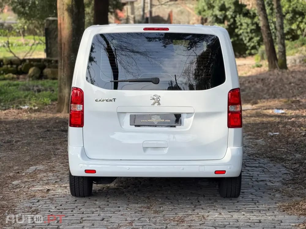 Peugeot Expert 1.5 BlueHDi L2H1 Semi-Vidrado