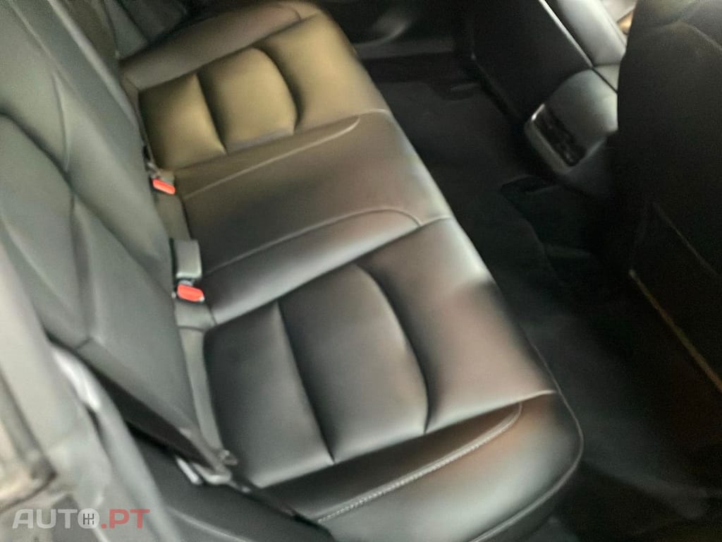 Tesla Model 3 Tração Traseira Premium