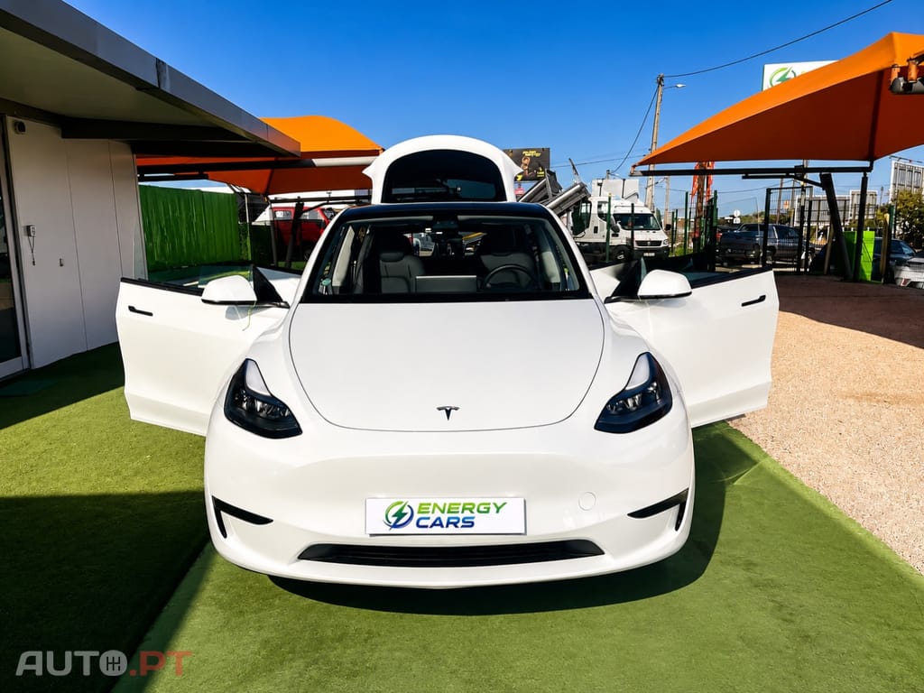 Tesla Model Y Standard