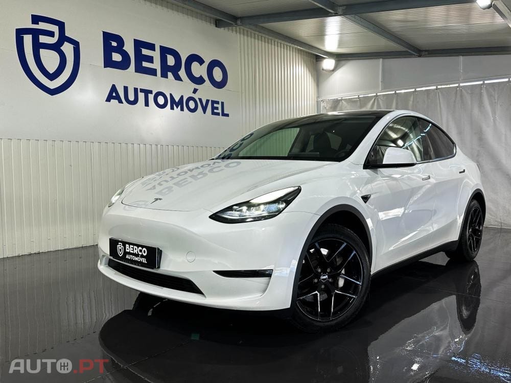 Tesla Model Y Long Range Dual Motor AWD