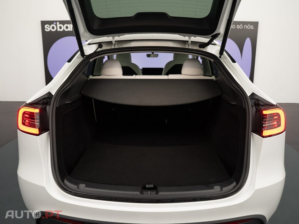 Tesla Model Y Long Range Tração Integral