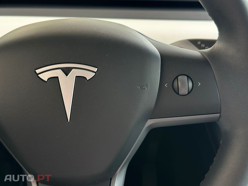 Tesla Model Y Standard RWD