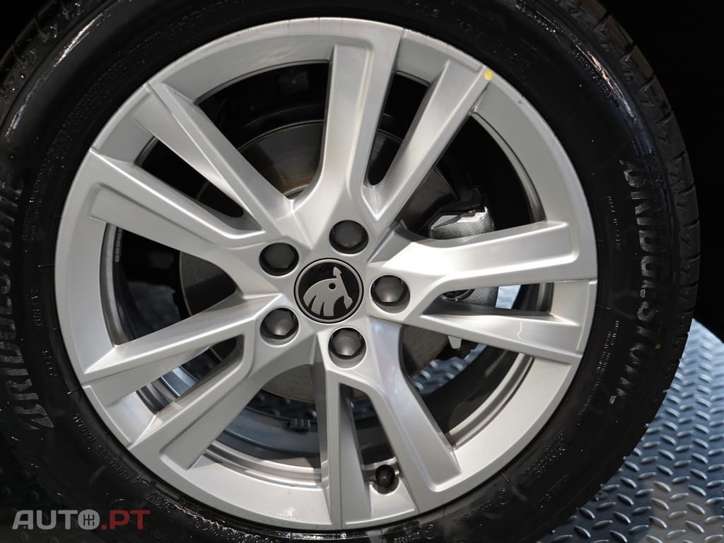 Skoda Fabia 1.0 TSI Selection