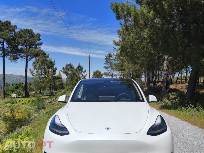 Tesla Model Y RWD